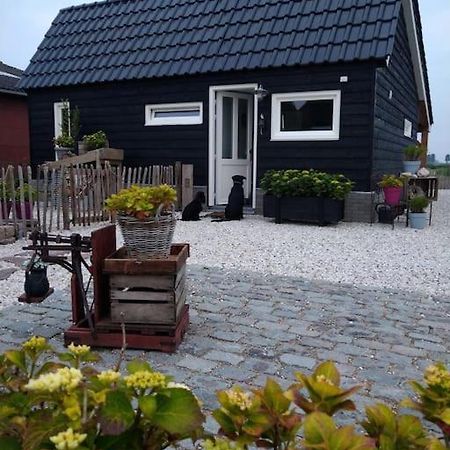Wellness Chalet Met Jacuzzi, Sauna, Omheinde Tuin, Sint Annaland Exterior photo