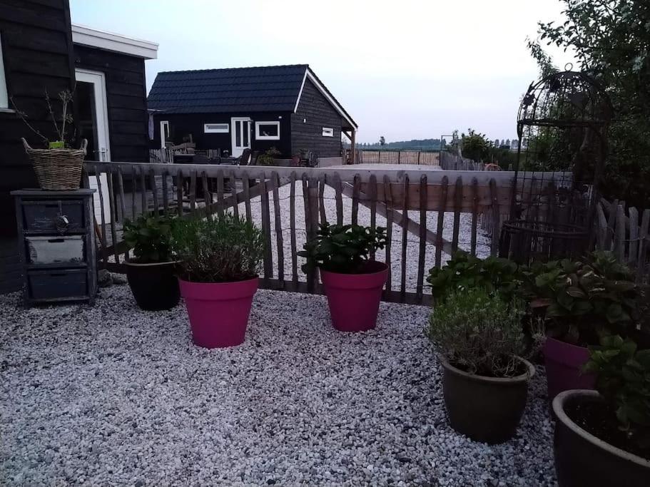 Wellness Chalet Met Jacuzzi, Sauna, Omheinde Tuin, Sint Annaland Exterior photo
