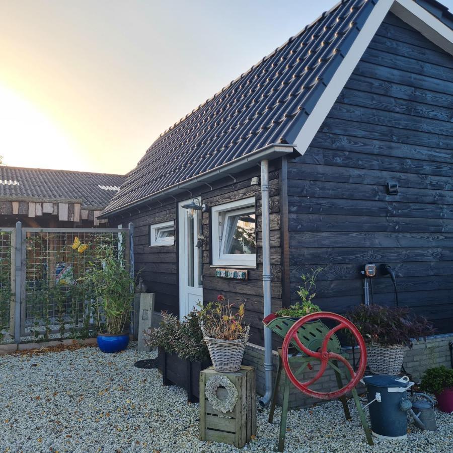 Wellness Chalet Met Jacuzzi, Sauna, Omheinde Tuin, Sint Annaland Exterior photo